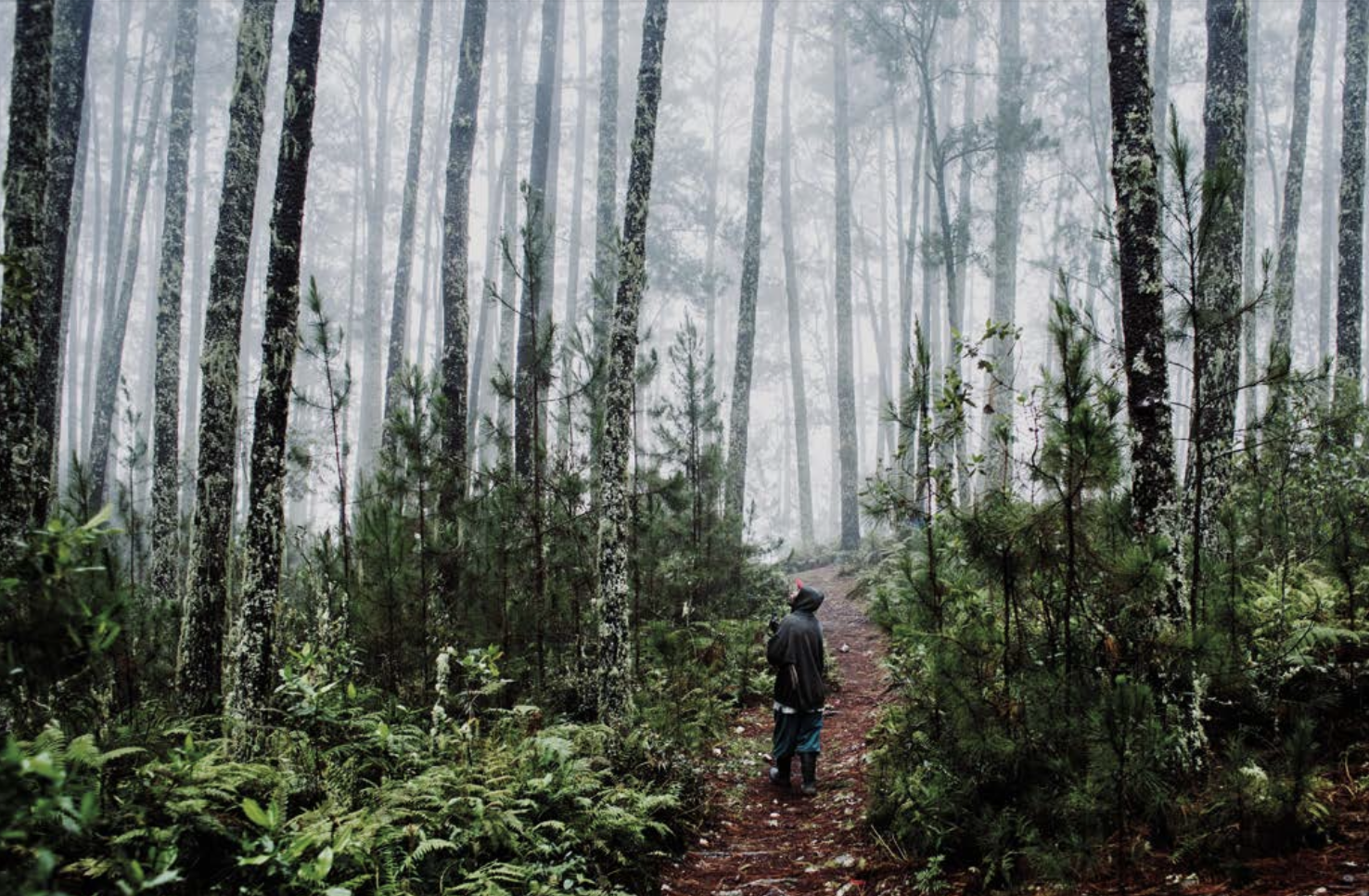 Images from Kolektif K2D’s photojournalism project, Urgences (2017). Photograph by and courtesy of Valérie Baeriswyl.