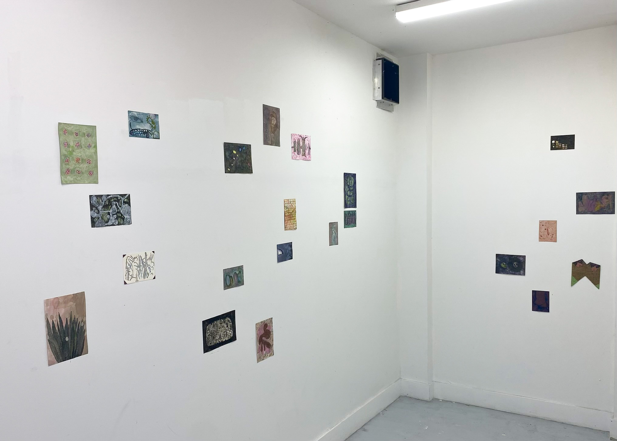Trashroom Gallery: Juan Pablo Garza and Christian Vinck (Romero Henriquez) “Icacos Patafisicos” from December 2025. (Photo courtesy of Trashroom Gallery)
