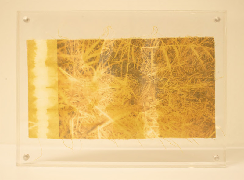 Diana Eusebio. Sample (Gator), 2023. Photograph digitally printed on cotton fabric naturally dyed with Itla-Okla.